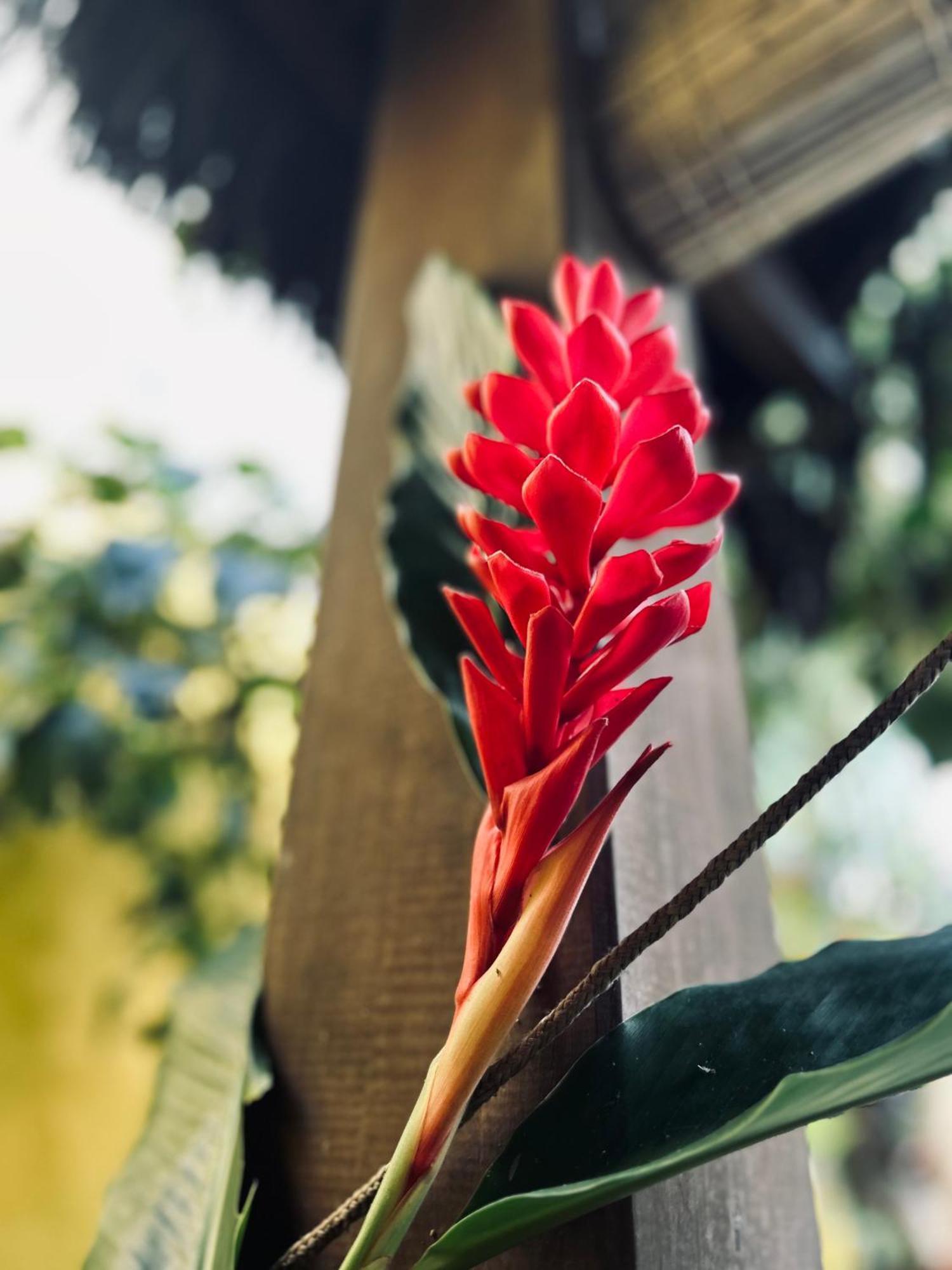 Pousada Velha Boipeba Ngoại thất bức ảnh
