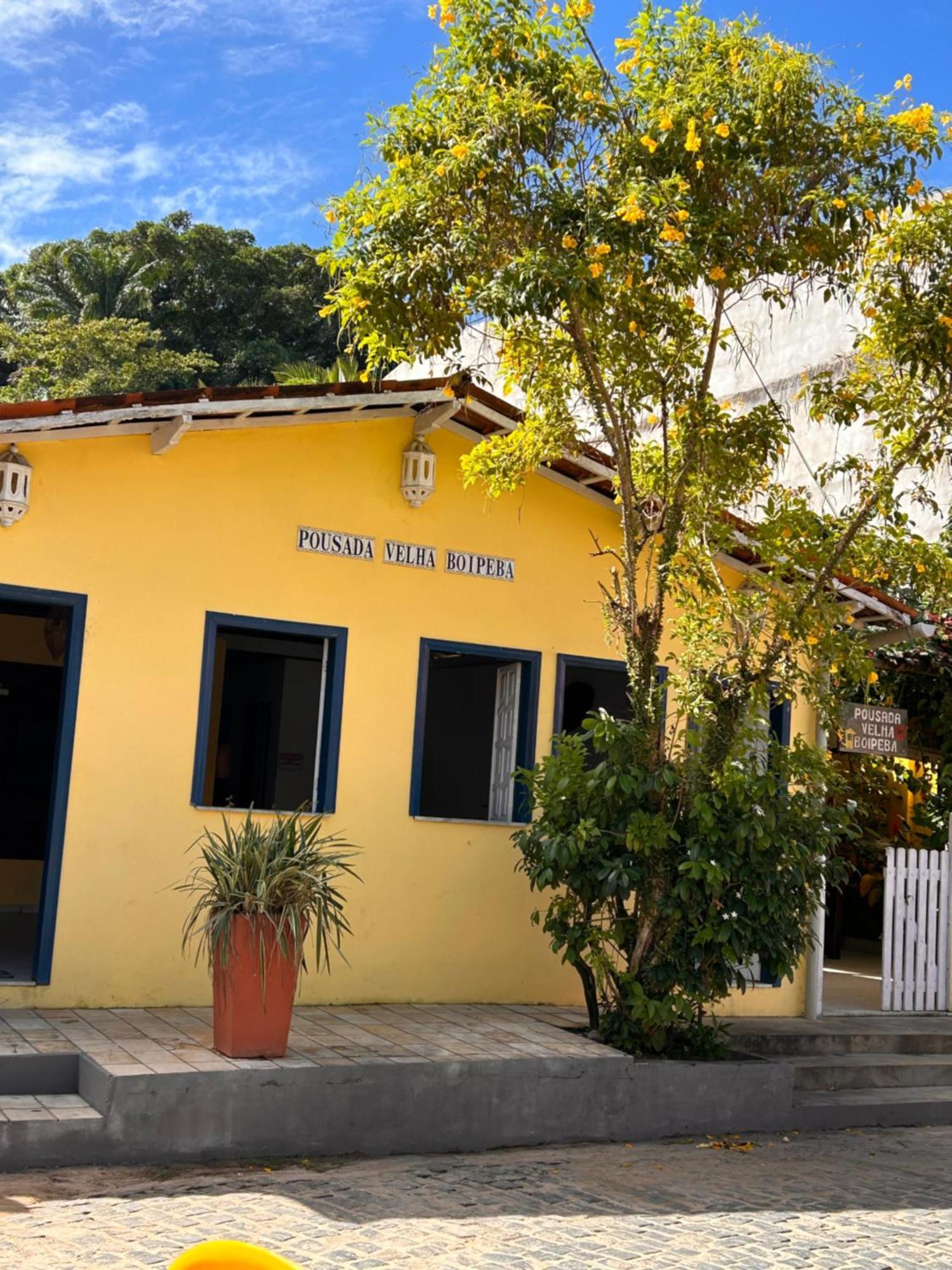Pousada Velha Boipeba Ngoại thất bức ảnh